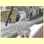 DSCN5455.JPG